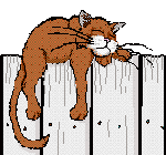 catt8.gif